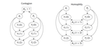 Contagion, Confounding, and Causality: Confronting the Three C’s of Observational Political Networks Research