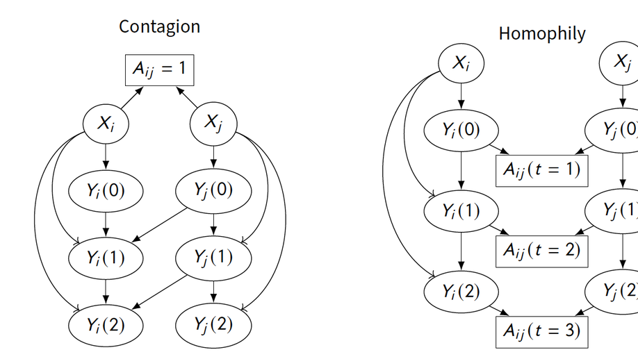 Contagion, Confounding, and Causality: Confronting the Three C’s of Observational Political Networks Research
